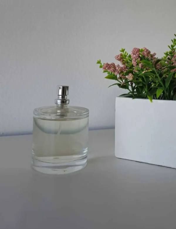 perfumes equivalentes mujer online